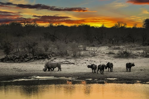 lake nakuru safaris