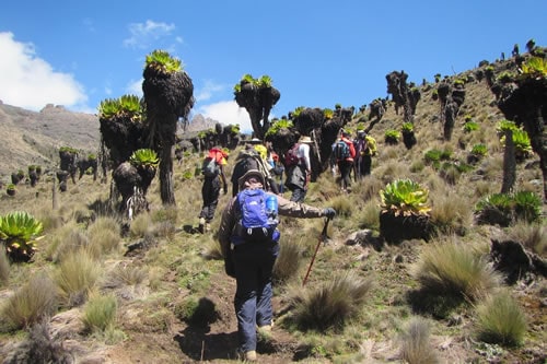 mt kenya climbing sirmon route